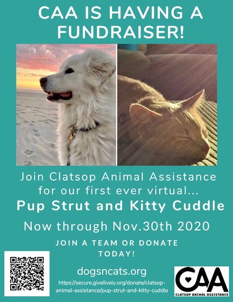 Clatsop Animal Assistance Virtual Pup Strut and Kitty Cuddle