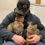 Featured Pets of the Week at the Clatsop County Animal Shelter