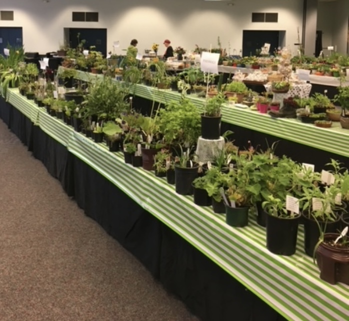 Sou’Wester Garden Club Plant Sale at Seaside Convention Center