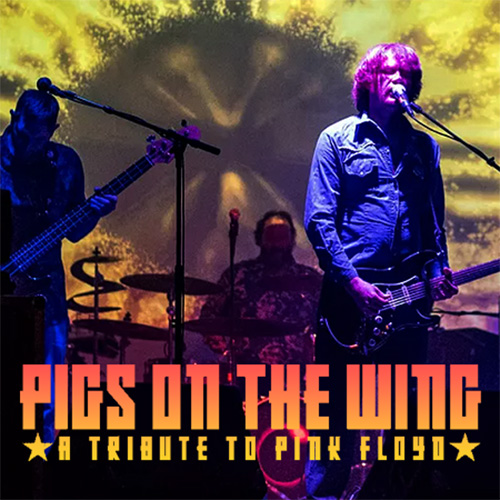 Pigs on the Wing - Pink Floyd Tribute Show