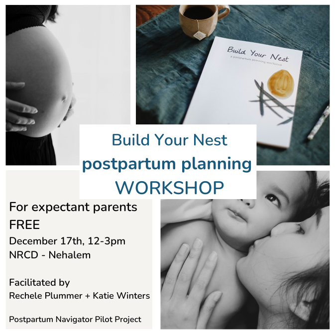Build Your Nest Postpartum Planning Workshop