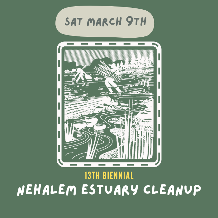 13th Biennial Nehalem Estuary Cleanup