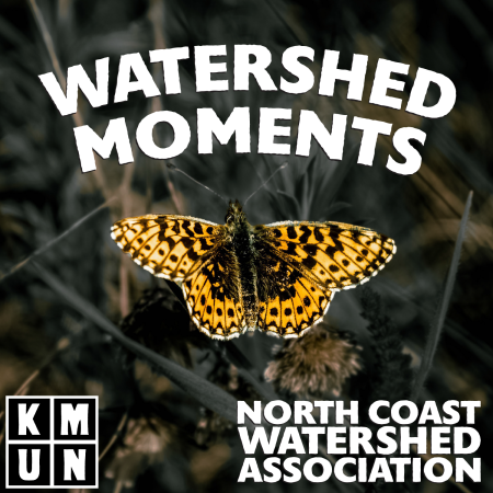 watershed moments podcast