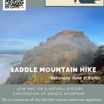 Saddle Mountain Hike