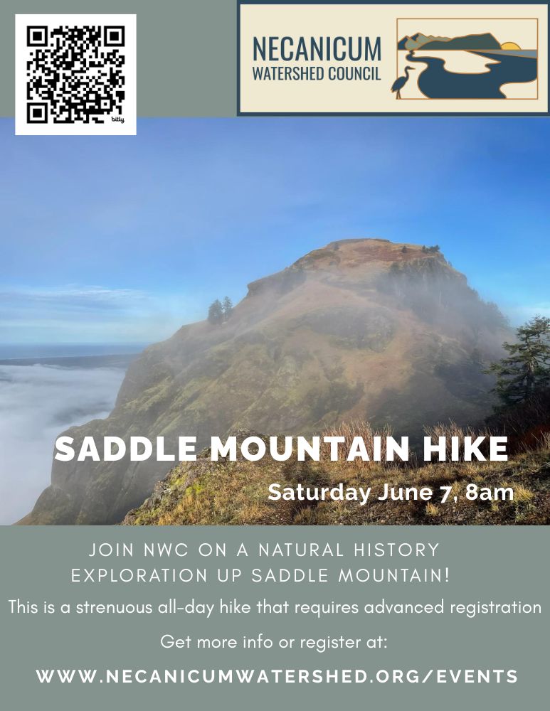 Saddle Mountain Hike