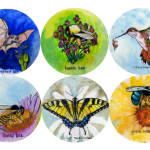 Pollination Celebration: Clatskanie Farmers Market Festival