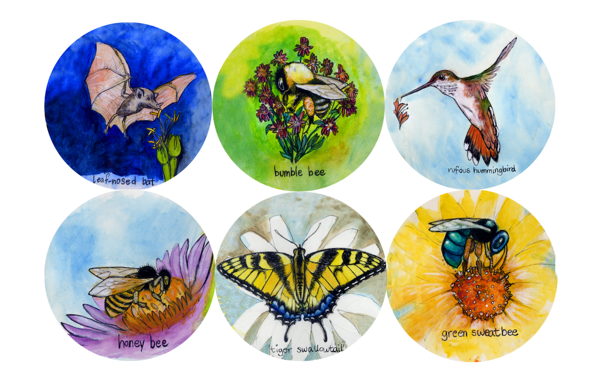 Pollination Celebration: Clatskanie Farmers Market Festival