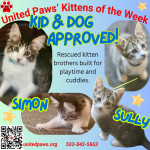 United Paws’ Kittens of the Week:  Sully and Simon