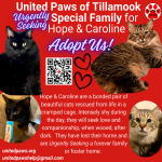 United Paws’ Urgent Seeking Home for Hope and Caroline