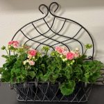 Sou'Wester Garden Club Plant Sale
