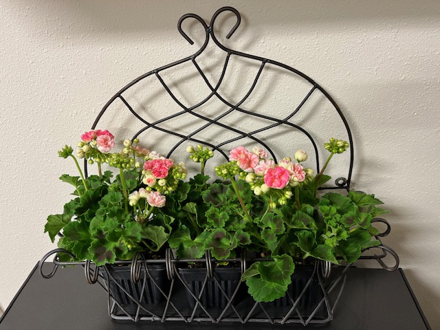 Sou'Wester Garden Club Plant Sale