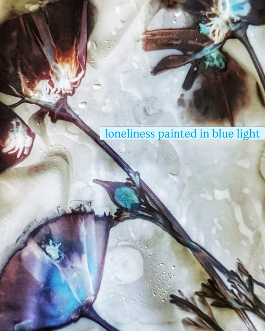 Art Exhibit : “how a dream unfolds”