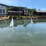 Sailboat Rentals