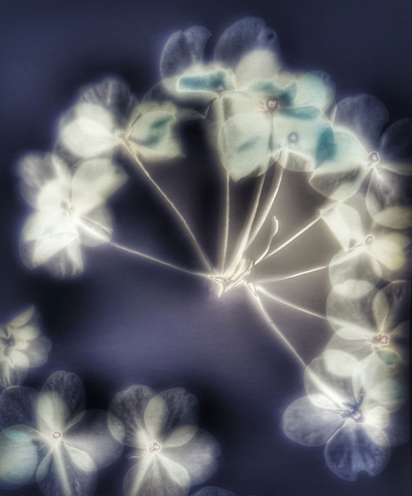 Lumen Photography Workshop with Julie Moore
